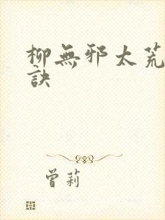 柳无邪太荒吞天诀封面