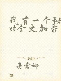 我有一个秘密txt全文加番外