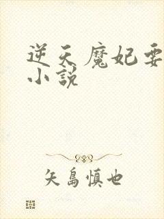 逆天魔妃要上位小说