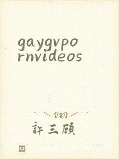 gaygvpornvideos封面