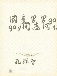 国产男男gaygay同志网站