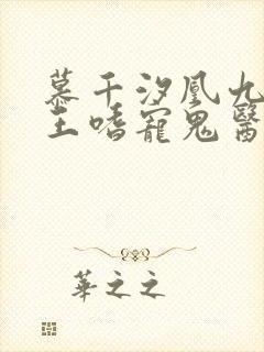 慕千汐凰九夜邪王嗜宠鬼医狂妃无弹窗