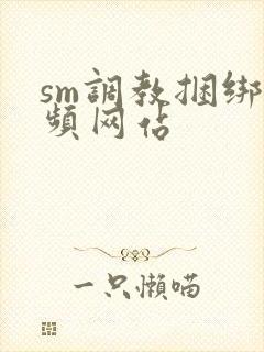 sm调教捆绑视频网站