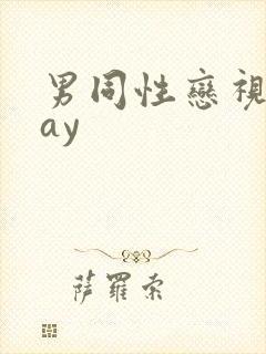 男同性恋视频gay