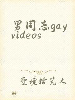 男同志gay videos封面
