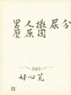 男人撒尿分叉什么原因