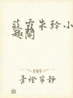 苏霞朱干小说笔趣阁