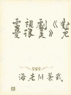 电视剧《对你的爱很美》免费观看封面