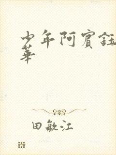 少年阿宾钰慧淑华