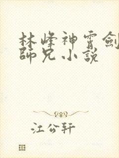 林峰神霄剑宗大师兄小说