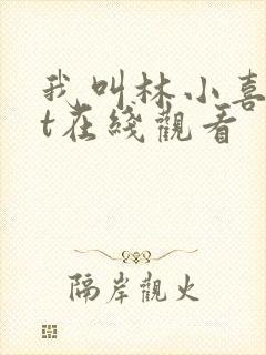 我叫林小喜txt在线观看