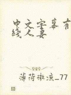 中文字幕有码在线人妻