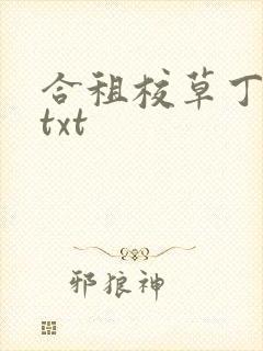 合租校草丁念念txt