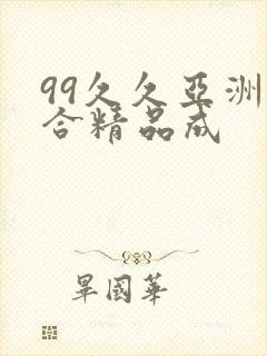 99久久亚洲综合精品成