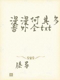 漫漫何其多暴君番外全txt
