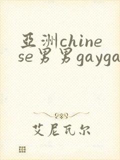 亚洲chinese男男gaygay网站