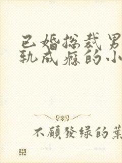 已婚总裁男主出轨成瘾的小说封面