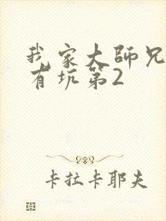 我家大师兄脑子有坑第2