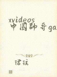xvideos中国帅哥gay封面