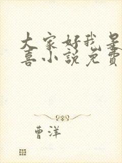 大家好我是林小喜小说免费阅读