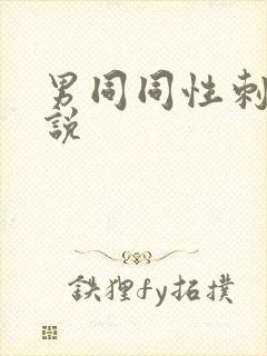 男同同性刺激小说封面