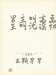 男主叫高禹川女主叫沈瑶初的短剧