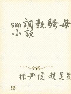 sm调教骚母狗小说