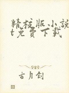 精校版小说txt免费下载封面