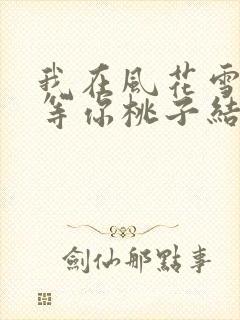 我在风花雪月里等你桃子结局封面