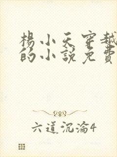 杨小天穿越武魂的小说免费阅读无弹窗