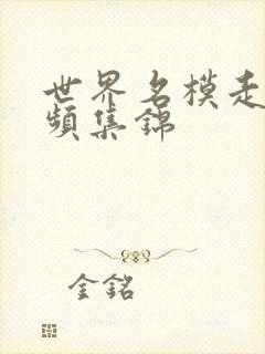 世界名模走秀视频集锦