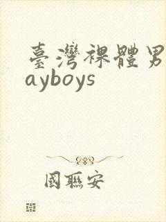 台湾裸体男模gayboys封面