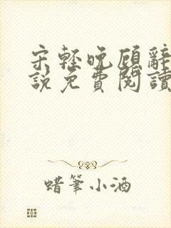 宋轻晚顾辞渊小说免费阅读封面