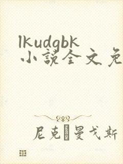 lkudgbk小说全文免费阅读笔趣阁无弹窗
