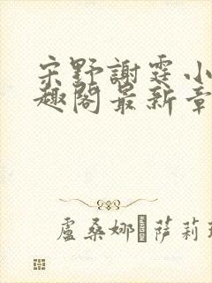 宋野谢霆小说笔趣阁最新章节