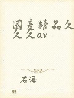 国产精品久久久久久av