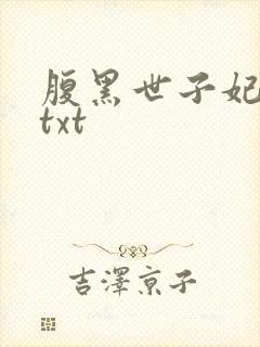 腹黑世子妃日常txt