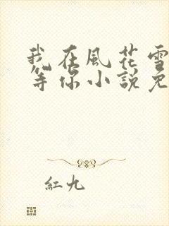 我在风花雪月里等你小说免费阅读