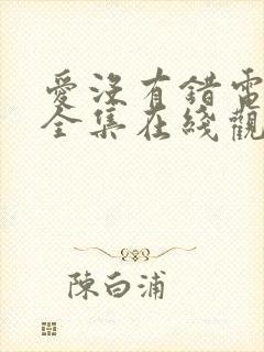 爱没有错电视剧全集在线观看免费