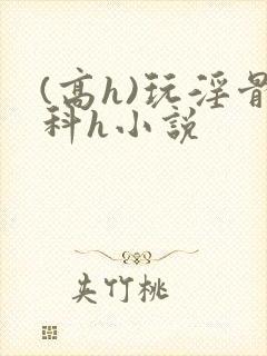 (高h)玩淫骨科h小说