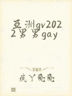 亚洲gv2022男男gay