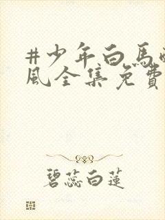 #少年白马醉春风全集免费观看