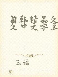 日韩精品久久久久中文字幕