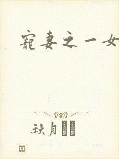 宠妻之一女二夫