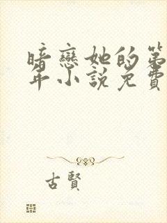 暗恋她的第十一年小说免费下载