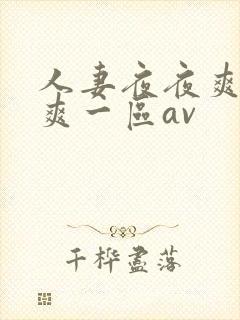 人妻夜夜爽天天爽一区av