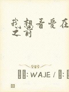 我想看爱在日落之前封面