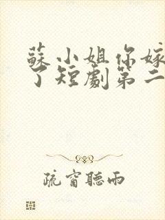 苏小姐你嫁错人了短剧第二季