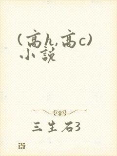 (高h,高c)小说