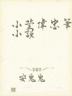 小莹伟忠笔趣阁小说